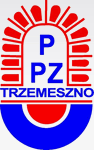 Тшемешно